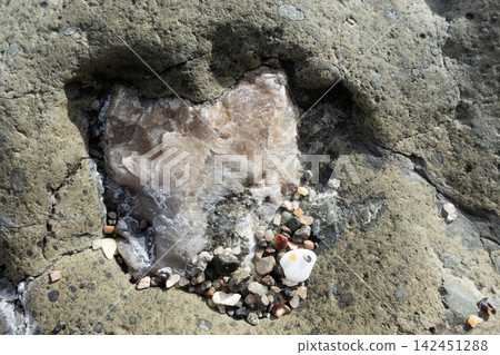 Calcite crystal growing embedded in a rock cavity with small pebbles and shell fragments 142451288