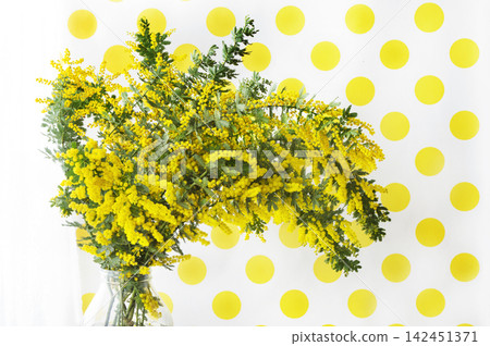 A polka-dot background and a vase filled with blooming mimosa flowers. A polka-dot background and a vase filled with blooming mimosa flowers. 142451371