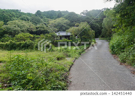 一條通往鬱鬱蔥蔥的鄉村田園風光和一座古老農舍的道路,讓人聯想到鄉村生活和人口減少的景象。 一條通往鬱鬱蔥蔥的鄉村田園風光和一座古老農舍的道路,讓人聯想到鄉村生活和人口減少的景象。 142451440