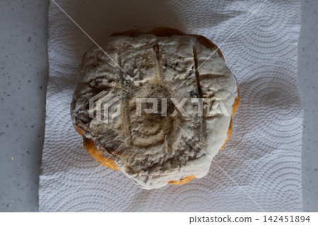 Decaying pumpkin with a white fungal growth on a kitchen paper towel Decaying pumpkin with a white fungal growth on a kitchen paper towel 142451894