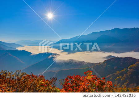 On a clear autumn morning, from Shiori Pass, with vibrant red autumn leaves in the foreground, a sea of clouds and a waterfall of clouds cascading down Lake Okutadami can be seen. On a clear autumn morning, from Shiori Pass, with vibrant red autumn leaves in the foreground, a sea of clouds and a waterfall of clouds cascading down Lake Okutadami can be seen. 142452036
