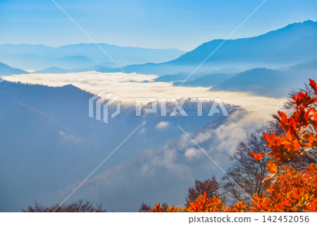 On a clear autumn morning, with the autumn leaves at their peak at Shiori Pass, the vibrant red foliage in the foreground contrasts sharply with the waterfall-like cloud formations over Lake Okutadami. On a clear autumn morning, with the autumn leaves at their peak at Shiori Pass, the vibrant red foliage in the foreground contrasts sharply with the waterfall-like cloud formations over Lake Okutadami. 142452056