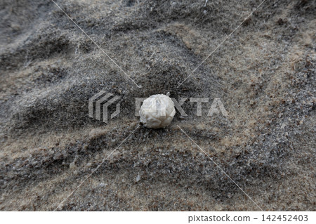 Old dried chewing gum stuck to a rough stone surface Old dried chewing gum stuck to a rough stone surface 142452403