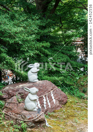 Izumo Grand Shrine: Rabbits and Iwakura (Sacred Rocks) Izumo Grand Shrine: Rabbits and Iwakura (Sacred Rocks) 142452556
