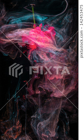 Pink orchid submerged in swirling colored ink clouds against black background, with orchid, pink, flower, bud detail Pink orchid submerged in swirling colored ink clouds against black background, with orchid, pink, flower, bud detail 142453475