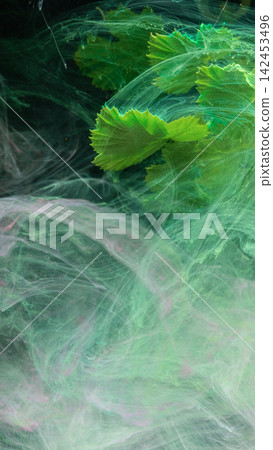 Green leaves submerged in swirling emerald ink with translucent smoke effect, with leave, green, ink, swirl detail Green leaves submerged in swirling emerald ink with translucent smoke effect, with leave, green, ink, swirl detail 142453496