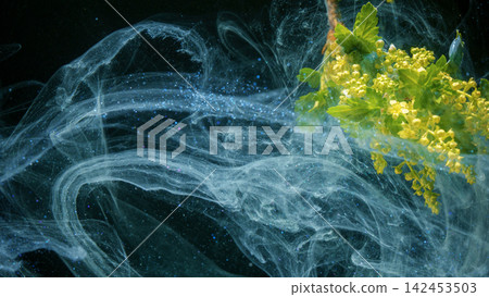 Yellow flower cluster drifting through translucent swirling ink clouds in dark water Yellow flower cluster drifting through translucent swirling ink clouds in dark water 142453503