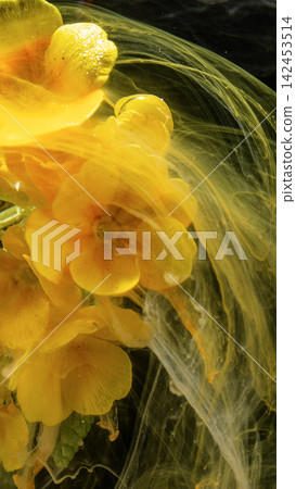 Yellow primrose blooms submerged in swirling golden ink, with yellow, primrose, flower, floral detail 142453514