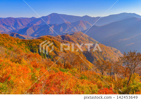 在一個晴朗的秋日清晨，從栞峠眺望，壯麗的景色盡收眼底：群山被絢麗的秋葉覆蓋，雄偉的毛山峰在遠處巍然聳立。 142453649