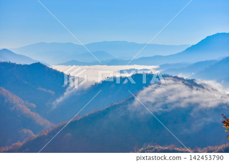 在一個晴朗的秋日早晨,從352號國道下坡路段的中間,奧田鱘湖上空的雲海和瀑布般的雲層升騰到與視線齊平的高度。 在一個晴朗的秋日早晨,從352號國道下坡路段的中間,奧田鱘湖上空的雲海和瀑布般的雲層升騰到與視線齊平的高度。 142453790