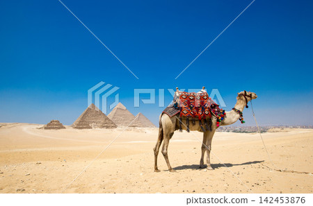 pyramids with a beautiful sky of Giza in Cairo, Egypt. pyramids with a beautiful sky of Giza in Cairo, Egypt. 142453876