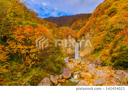 On a clear autumn morning, the Naena Falls offer a breathtaking view surrounded by the vibrant, colorful autumn leaves at their peak. On a clear autumn morning, the Naena Falls offer a breathtaking view surrounded by the vibrant, colorful autumn leaves at their peak. 142454021