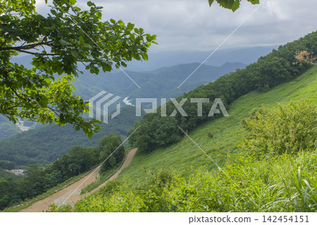 This is the scenery of Mindungsan Mountain in Gangwon-do. This is the scenery of Mindungsan Mountain in Gangwon-do. 142454151