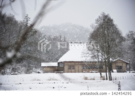 Snow falling morning Snow falling morning 142454291