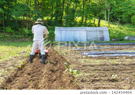 Agriculture: A Japanese man's back as he plows a field with a tiller. Agriculture: A Japanese man's back as he plows a field with a tiller. 142454404