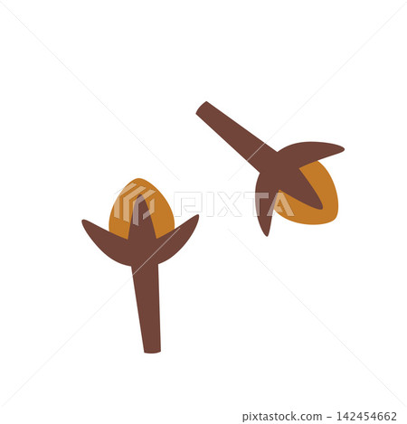 Clove spice buds, aromatic ingredient art for coffee, tea and dessert preparation. Vector illustration isolated on white background, hand drawn, flat design Clove spice buds, aromatic ingredient art for coffee, tea and dessert preparation. Vector illustration isolated on white background, hand drawn, flat design 142454662