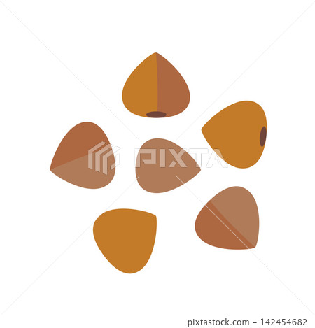Buckwheat grains, natural cereal ingredient illustration for healthy food, cooking and agriculture concept Buckwheat grains, natural cereal ingredient illustration for healthy food, cooking and agriculture concept 142454682