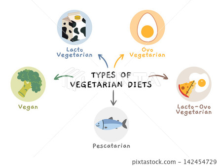Infographics with Vegetarian diet types like vegan, lacto, ovo vegetarian and pescatarian. Food lifestyle comparison concept. Trendy modern vector illustration isolated on white, flat design Infographics with Vegetarian diet types like vegan, lacto, ovo vegetarian and pescatarian. Food lifestyle comparison concept. Trendy modern vector illustration isolated on white, flat design 142454729