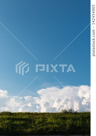 夏日景色，藍天白雲，高聳入雲 | 開闊的天空和綠色的草原構成了一幅自然背景 142454905