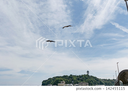 風箏飛翔的海 風箏飛翔的海 142455115