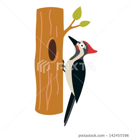 Flat vector illustration of a woodpecker on a tree trunk. Forest bird icon for wildlife, woodland, birdwatching and nature themed designs 142455596