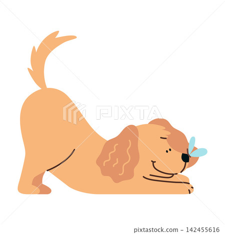 Playful dog stretching in a play bow pose with a butterfly nearby. Happy domestic pet enjoying outdoor play isolated on white background 142455616