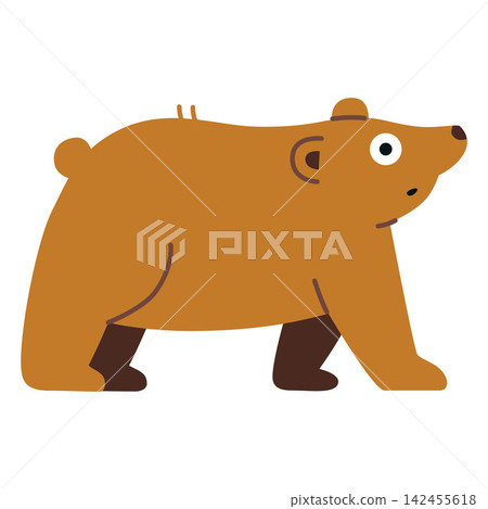 Funny brown bear walking in side view. Wild forest mammal illustration for wildlife, nature, camping, hiking, outdoor adventure, woodland animals and educational materials 142455618