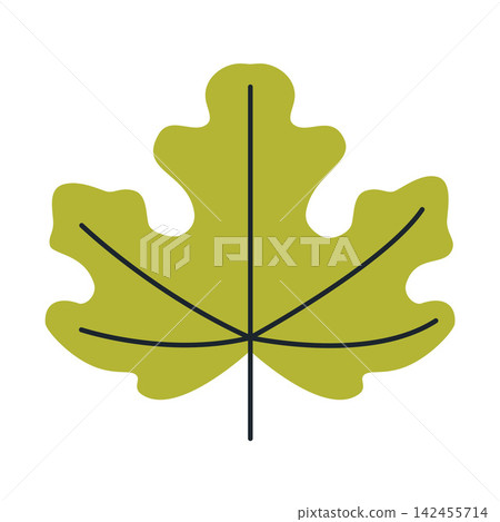Fig leaf isolated on white background. Flat vector illustration Fig leaf isolated on white background. Flat vector illustration 142455714