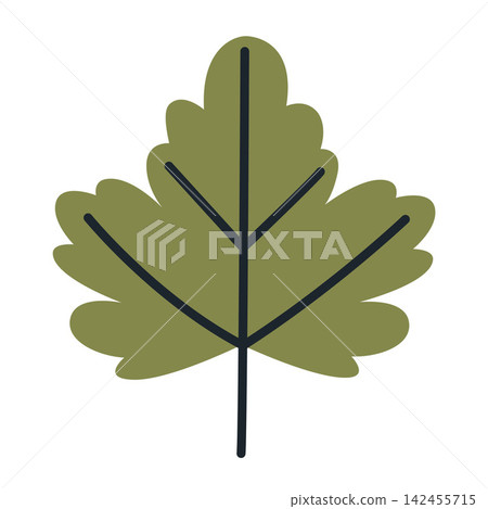 Green currant leaf isolated on white background. Flat vector illustration Green currant leaf isolated on white background. Flat vector illustration 142455715