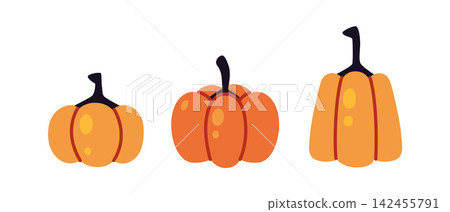 Set of orange pumpkins in different shapes and sizes. Simple autumn elements for Halloween, fall harvest, seasonal decorations, and festive designs. Flat vector illustrations isolated on white Set of orange pumpkins in different shapes and sizes. Simple autumn elements for Halloween, fall harvest, seasonal decorations, and festive designs. Flat vector illustrations isolated on white 142455791