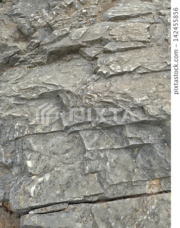 This is a close-up of sedimentary rock. This is a close-up of sedimentary rock. 142455856