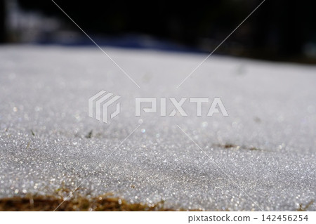 Winter river bed 142456254