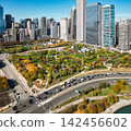 Autumn city park landscape. Cityscape with city park. Chicago high rises. Chicago cityscape skyline architecture. Skyscraper and landscape. Chicago cityscape. Chicago downtown city park and skyline 142456602