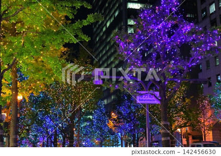 Illuminations of Midosuji Illuminations of Midosuji 142456630