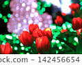 Illuminations of tulips 142456654