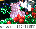 Illuminations of tulips 142456655