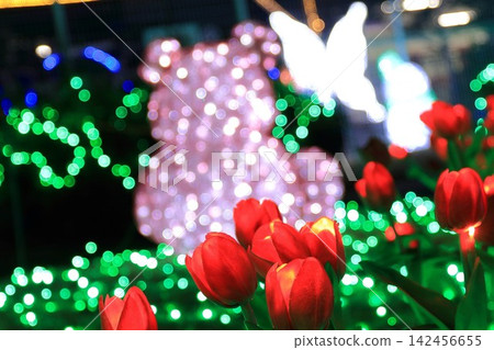 Illuminations of tulips 142456655