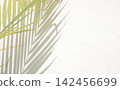 Palm leaf and shadow on white concrete wall background with copy space. 142456699