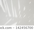 Abstract shadow of leaves overlay effect for texture backgrounds design illustration 142456700