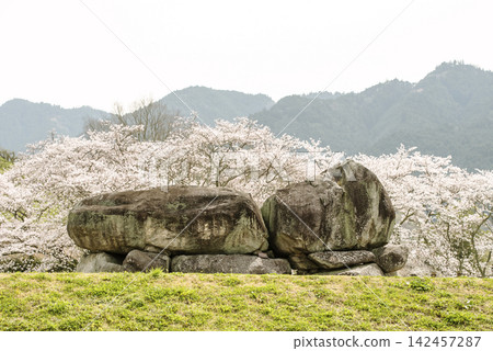 石舞台古墓和櫻花景色:國家特別歷史遺跡,奈良旅遊景點,飛鳥和藤原的舊都,聯合國教科文組織世界文化遺產。 石舞台古墓和櫻花景色:國家特別歷史遺跡,奈良旅遊景點,飛鳥和藤原的舊都,聯合國教科文組織世界文化遺產。 142457287