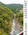 The Shirakawa River flows beneath the First Shirakawa Bridge. 142457467