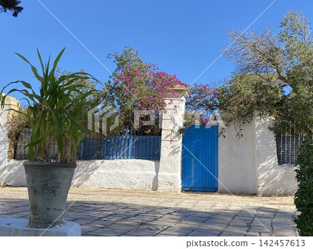 A refreshing scene in the Tunisian town of Sidi Bou Said, where the blue sky, gates, white walls, and bougainvillea flowers stand out. A refreshing scene in the Tunisian town of Sidi Bou Said, where the blue sky, gates, white walls, and bougainvillea flowers stand out. 142457613