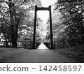 A bridge 142458597