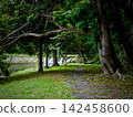 A road surrounded by green 142458600