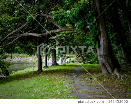 A road surrounded by green A road surrounded by green 142458600