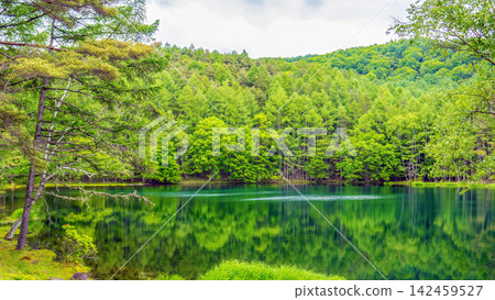 米沙卡池寧靜的夏日景色和鬱鬱蔥蔥的落葉松林倒映其中。 米沙卡池寧靜的夏日景色和鬱鬱蔥蔥的落葉松林倒映其中。 142459527