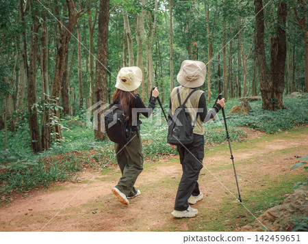 Two Asian female hikers with backpacks and trekking poles walk along a dirt trail in a green forest. Active lifestyle and outdoor adventure travel concept. Two Asian female hikers with backpacks and trekking poles walk along a dirt trail in a green forest. Active lifestyle and outdoor adventure travel concept. 142459651