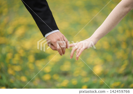 結婚戒指 結婚戒指 142459766