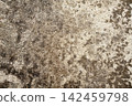 Old concrete wall texture with mold background 142459798