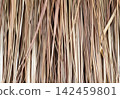 Dry thatch roof texture with brown straw background 142459801